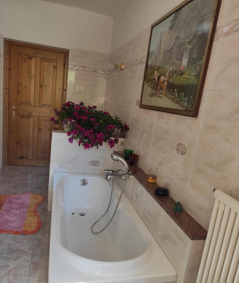Ferienwohnung Casa "Berto E Costantina" Tregiovo Exterior foto